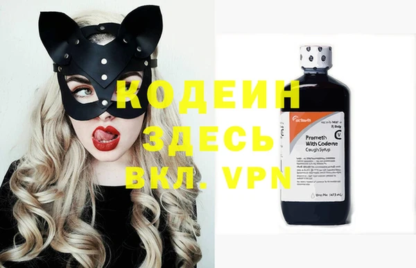 дмт Каменка