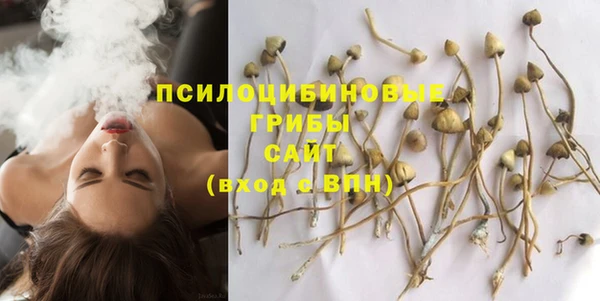 COCAINE Каменногорск