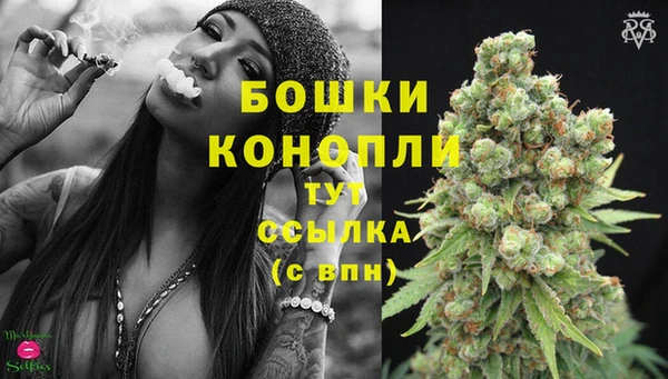 дмт Каменка
