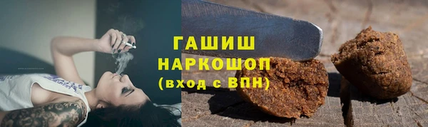 дмт Каменка