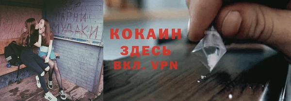 дурь Карпинск