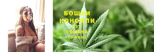 дмт Каменка