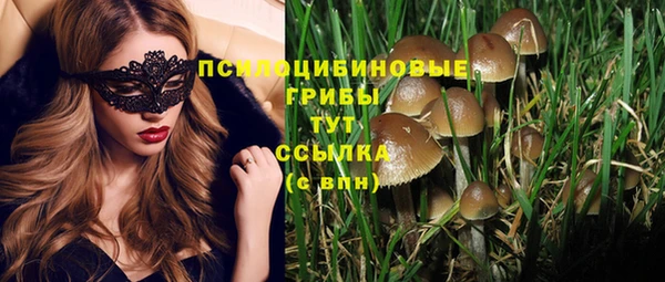 дмт Каменка