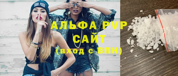 дмт Каменка