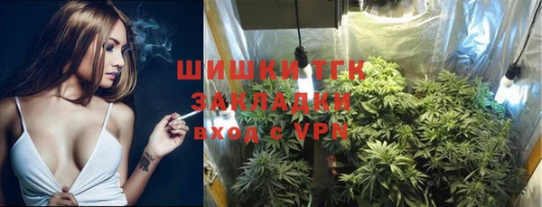 дмт Каменка