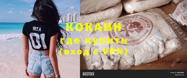 дмт Каменка