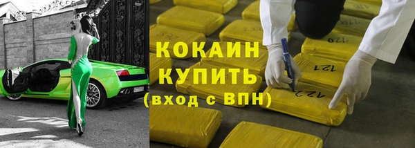 дмт Каменка