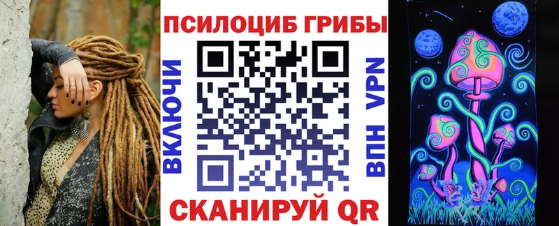 Галлюциногенные грибы Psilocybine cubensis Кизляр