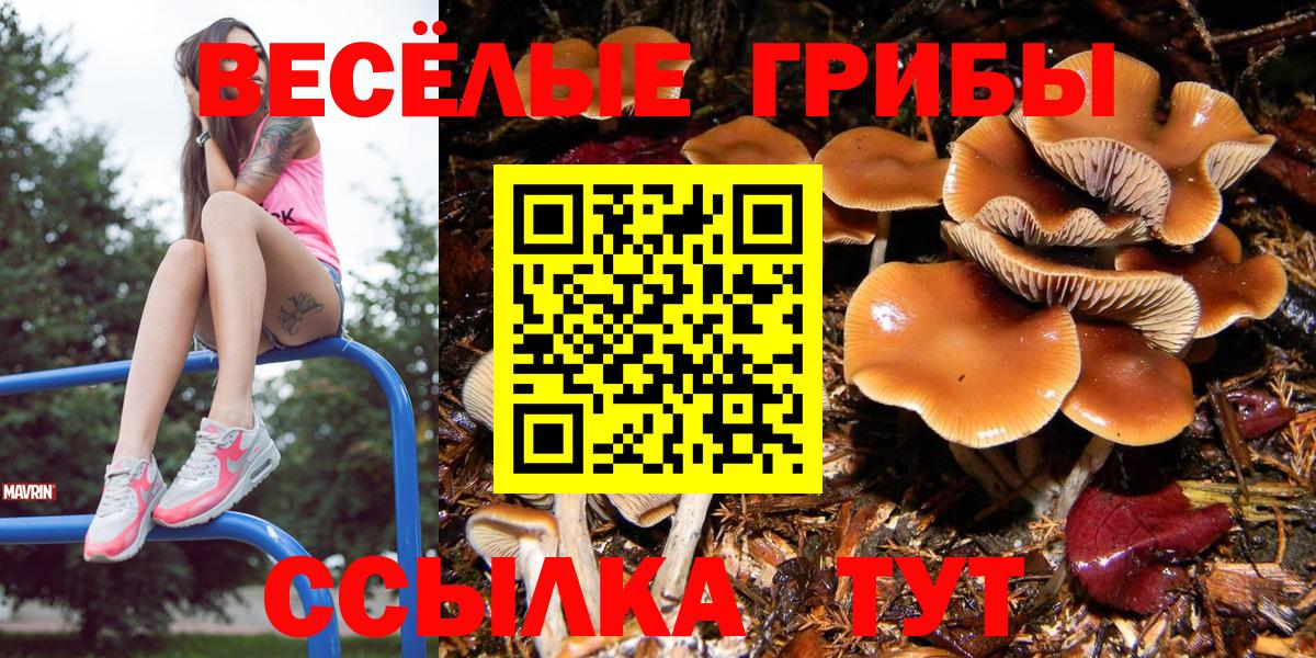 Галлюциногенные грибы мухоморы Кизляр